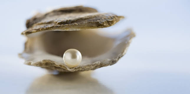 06:00: Hvordan gjør de det? (S15 E20) (S15) | Discovery Channel | 11/6 2025