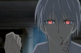 Vampire Knight: Episode 11