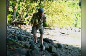Survivorman: Season 1: Costa Rican Ocean