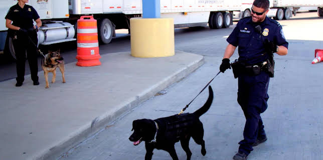 1:00 PM: Border Force America's Gatekeepers (S2 E5) (S2) | Dave | 12/3 2025