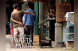 The Best Markets On Earth: Yogyakarta Bird Market, Indonesia
