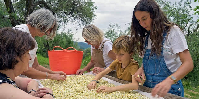 08:00: Die Welt der Zitrusfrüchte | Arte | 1/11 2026