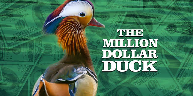The Million Dollar Duck