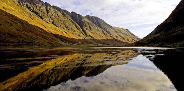 8:50 PM: Wild | BBC Four | 2/25 2026