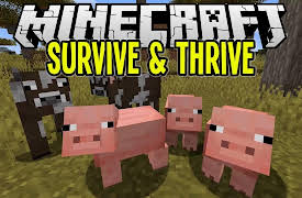 Paul Soares Jr Minecraft Survival Let's Play: Hunting and Cooking Food in Minecraft 1.14