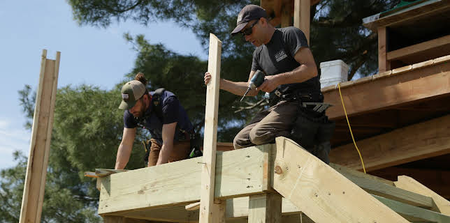 19:00: Hus i tretoppene (S5 E8) (S5) | Animal Planet | 12/29 2025