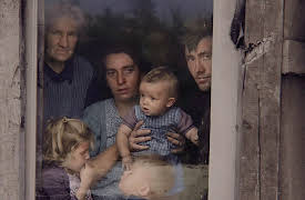 Liberation: D-Day to Berlin: Belgium and the Netherlands