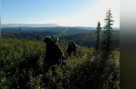 7 Days in Hell: Stranded in the Yukon