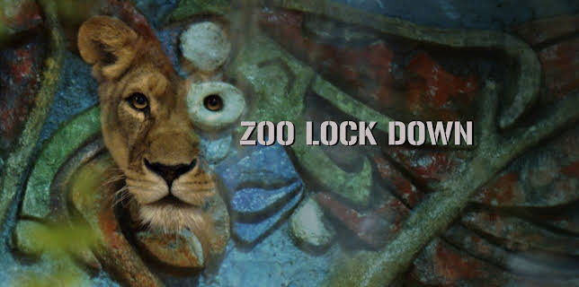 Zoo Lock Down (2023)