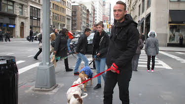 16:00: Pit Bulls & Parolees (S8 E2) (S8) | Animal Planet | 12/28 2025