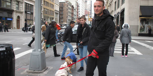 15:00: Pit Bulls & Parolees (S8 E2) (S8) | Animal Planet | 12/28 2025