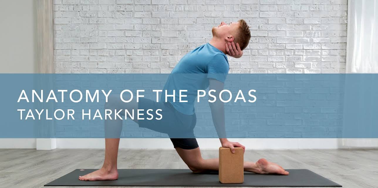 Anatomy of the Psoas (2020)