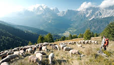 Von Hirtinnen und Wölfen