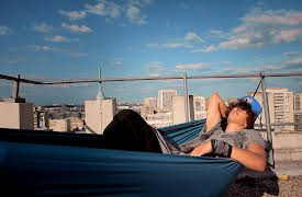 Rooftops of the Great Cities: Paris