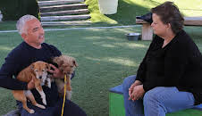 Cesar Millan: Better Human Better Dog - Bessere Menschen, bessere Hunde