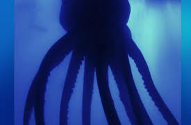 Monster Favorites: Man-Eating Squid: Invasion