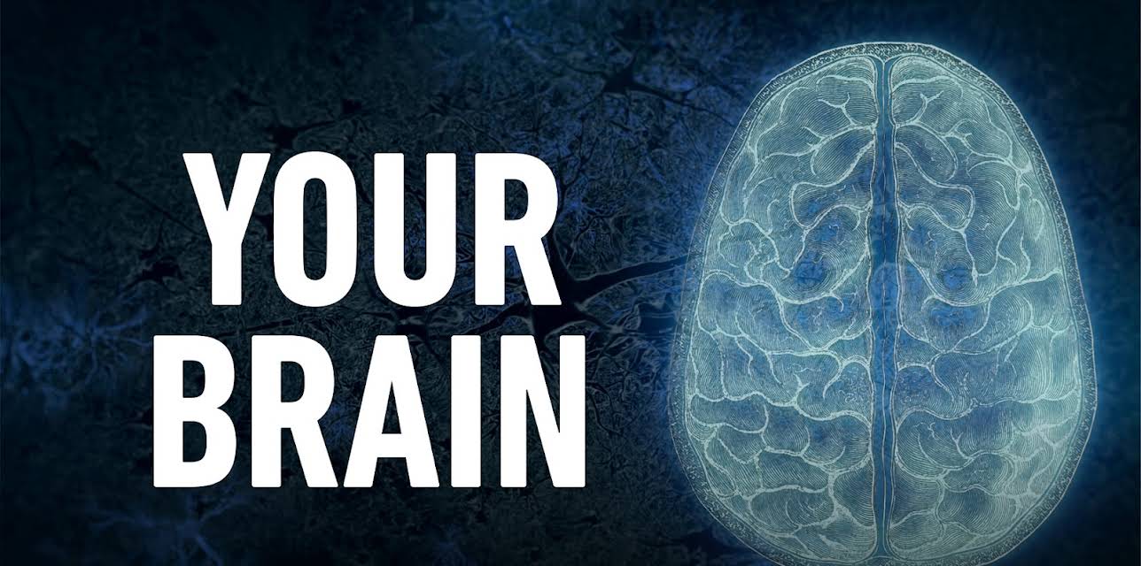 Your Brain, Season 1