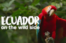 Ecuador: On the Wild Side: From the Amazon to the Andean Peaks