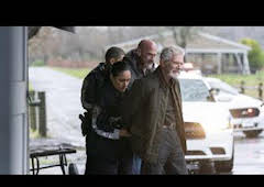 Ley y Orden: Crimen organizado (T4): Episodio 11