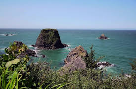 Beach Hunters: Oregon Beach Home