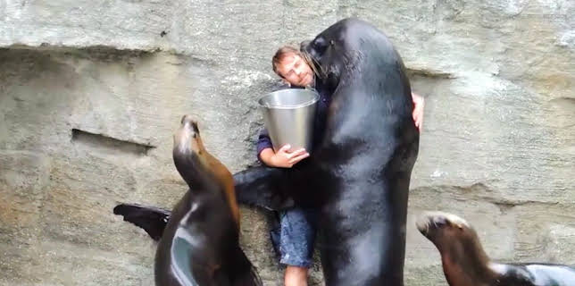 14:15: Darüber staunt die Welt | ProSieben | 3/1 2026