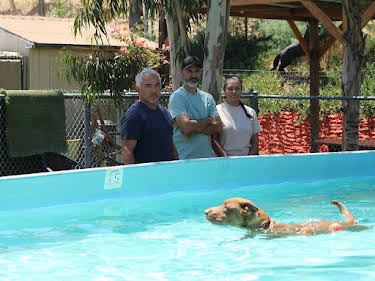 06:45: Cesar Millan: Better Human Better Dog - Bessere Menschen, bessere Hunde | Sixx | 7/26 2026