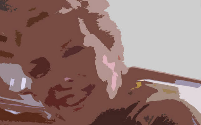 Julia Jay Pierrepont III