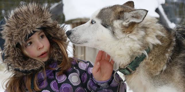 11:40: Klart eg kan: Hundekøyring | NRK Super | 12/3 2025