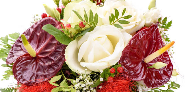 15:30: Schnittgut. Alles aus dem Garten | BR Fernsehen | 3/12 2026