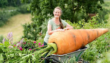 Mein leckerer Garten