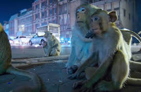 Night on Earth: Sleepless Cities