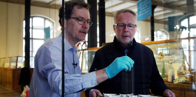 16:30: Auf der Jagd nach Meteoriten | Tagesschau 24 | 12/20 2025