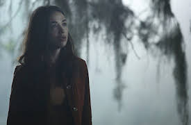 Swamp Thing: Loose Ends