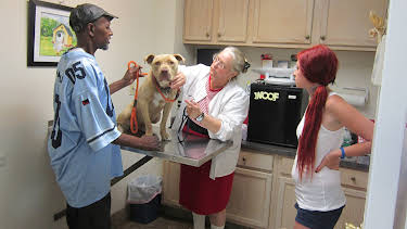 06:00: Pit Bulls & Parolees (S4 E4) (S4) | Animal Planet | 7/11 2026