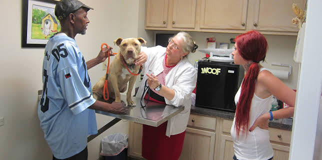 15:00: Pit Bulls & Parolees (S4 E4) (S4) | Animal Planet | 12/13 2025