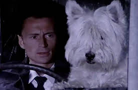 Hamish Macbeth S1: The Great Lochdubh Salt Robbery