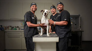 12:15: The Vet Life (S4 E1) (S4) | Animal Planet | 12/30 2025