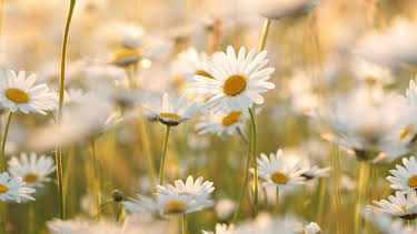 11:40: aktiv und gesund | SWR Fernsehen RP | 4/7 2026