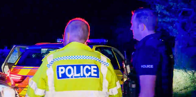 4:00 PM: Police Interceptors (S14 E7) (S14) | 5 Star | 11/18 2025