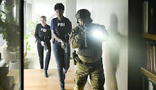FBI: Special Crime Unit