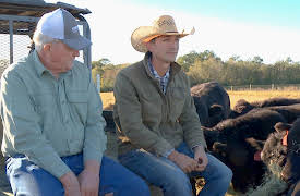 The Cowboy Way: Midnight Cowboys