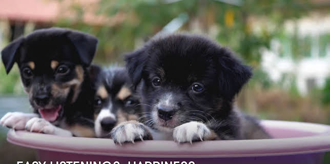 Easy Listenings: Happiness (2023)