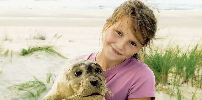 12:00: Der Seehund von Sanderoog | NDR Fernsehen | 12/20 2025