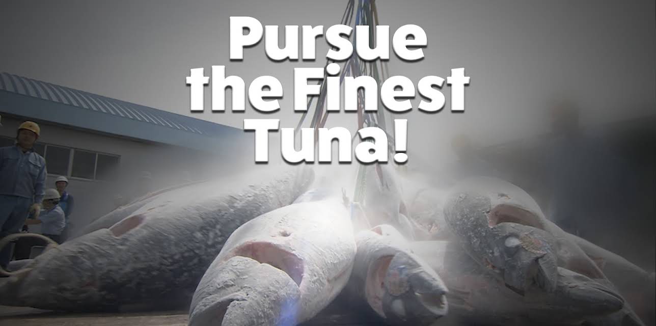 Pursue The Finest Tuna! (2017)