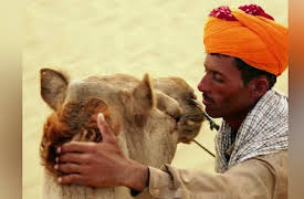 Human Nature: Courage, Humility and Responsibility