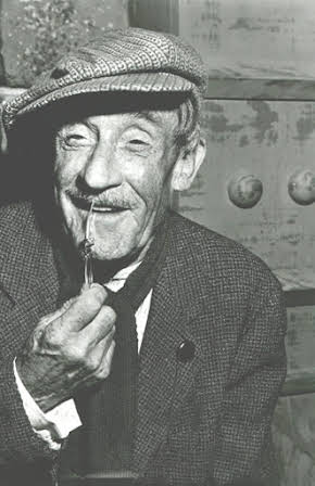 Houseley Stevenson as Dr. Walter Coley
