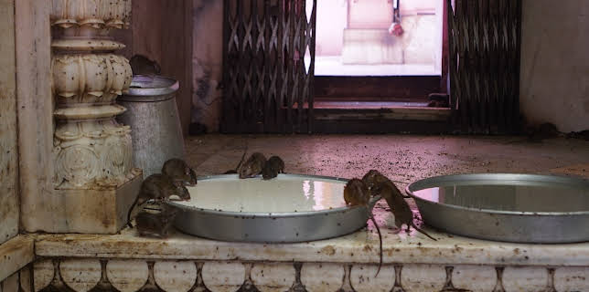 21:00: Legendary Locations  (S1 E12) (S1) | Discovery Science | 11/2 2025