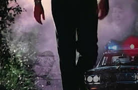 Unmasking a Killer: Launching the Manhunt for the Golden State Killer