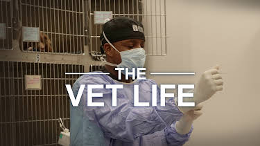 13:05: The Vet Life (S3 E1) (S3) | Animal Planet | 4/8 2026