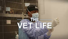 The Vet Life (S3 E7)